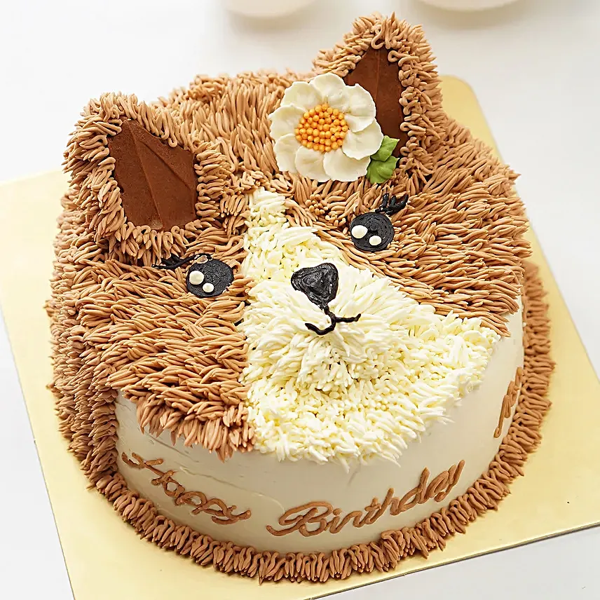 Sweet Cat Design Cake Chocolate